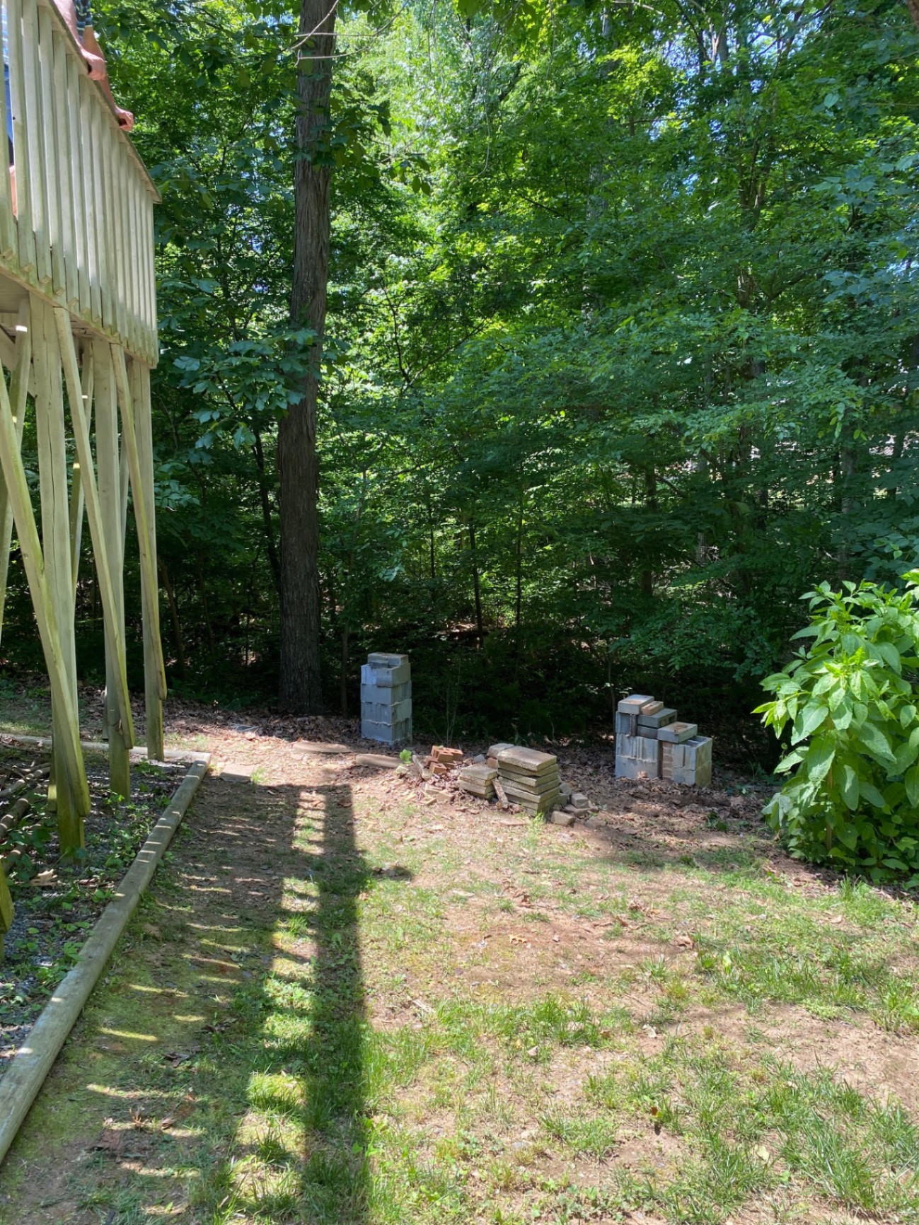 After: Shed Demolition & Removal