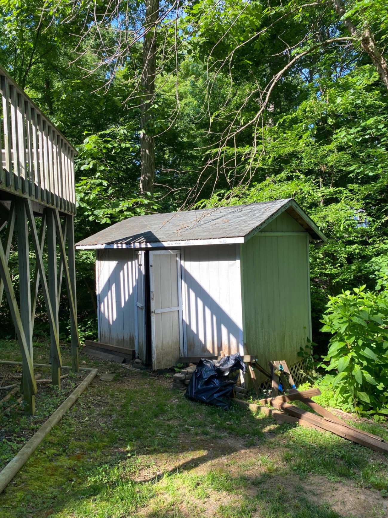 Before: Shed Demolition & Removal